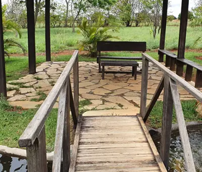 Paraíso Animal Crematório